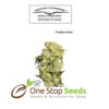 Freddy’s Best from one stop seeds and accsessories Glasgow Scotland