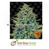 barneys-farm-cbd-blue-shark-from-one-stop-seeds-scotland-glasgow-uk
