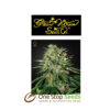 The Doctor from Greenhouse Seeds at one stop seeds Scotland Glasgow