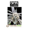 Golden Berry Female DNA Genetics from one stop seeds Scotland Glasgow