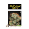 Kaia Kush from Greenhouse Seeds avalibile at one stop seeds Scotland Glasgow