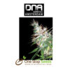 LA Woman Female DNA Genetics from one stop seeds Scotland Glasgow