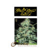 Moby Dick from Greenhouse Seeds at one stop seeds Scotland Glasgow