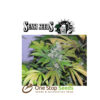 Ruderalis Indica® Regular by sensi seeds by sensi seeds at one stop seeds and accessories Scotland Glasgow