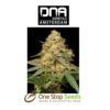 Silver LA Female DNA Genetics from one stop seeds Scotland Glasgow