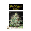 White Lemon from Greenhouse Seeds at one stop seeds Scotland Glasgow
