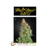 green-o-matic Autoflowering from Greenhouse Seeds at one stop seeds Scotland Glasgow