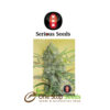 Serious Happiness by serious seeds Available from one stop seeds and accessories Glasgow Scotland