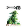Hindu Kush Regular by sensi seeds at one stop seeds and accessories Scotland Glasgow