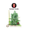 Kali Mist serious seeds Available from one stop seeds and accessories Glasgow Scotland