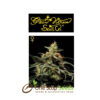 King's Kush from Greenhouse Seeds at one stop seeds Scotland Glasgow
