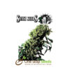 Northern Lights #5 x Haze feminized by sensi seeds at one stop seeds and accessories Scotland Glasgow