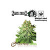 Northern Lights Automatic by sensi seeds at one stop seeds Scotland Glasgow