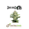 Sensi Skunk Automatic by sensi seeds at one stop seeds and accessories Scotland Glasgow