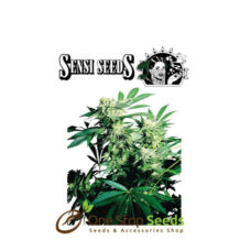 Skunk Kush by sensi seeds at one stop seeds and accessories Scotland Glasgow