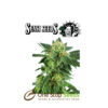 SnowRyder Automatic by sensi seeds at one stop seeds and accessories Scotland Glasgow