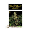 Train Wreck from Greenhouse Seeds at one stop seeds Scotland Glasgow