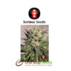 Warlock serious seeds Available from one stop seeds and accessories Glasgow Scotland