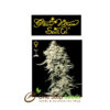 White Rhino from Greenhouse Seeds at one stop seeds Scotland Glasgow