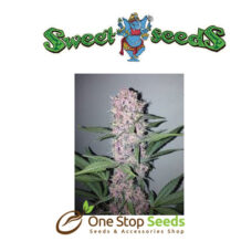 Auto Bloody Skunk (Red Family) at one stop seeds Scotland Glasgow