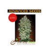 Advanced Seeds BioDiesel Mass Auto at one stop seeds and accessories Scotland Glasgow