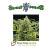 Cream 47 Feminised at one stop seeds Scotland Glasgow