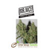 Mr Nice Dreamtime at one stop seeds Scotland Glasgow