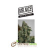 Mr Nice G13 x Haze at one stop seeds and accessories Scotland Glasgow