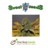 Green Poison Feminised at one stop seeds Scotland Glasgow