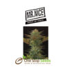 Mr Nice NL5 x Afghan at one stop seeds Scotland Glasgow