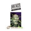 Mr Nice Neville's Haze Mango at one stop seeds and accessories Scotland Glasgow