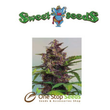 Red Poison Auto Feminized Available from one stop seeds and accessories Glasgow Scotland