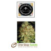 Rhode Island Skunk Feminized Available from one stop seeds and accessories Glasgow Scotland