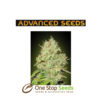 Advanced Seeds Shark Widow at one stop seeds and accessories Scotland Glasgow
