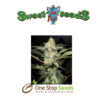 Sweet Afghani Delicious Feminized at one stop seeds Scotland Glasgow