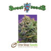 Sweet Cheese Feminised Available from one stop seeds and accessories Glasgow Scotland
