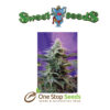 Sweet Skunk Auto Feminized Available from one stop seeds and accessories Glasgow Scotland