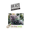 The Cure from southside hydro and organics centre Glasgow Scotland