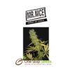 Mr Nice The Stones at one stop seeds and accessories Scotland Glasgow