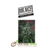 Mr Nice U2 at one stop seeds and accessories Scotland Glasgow