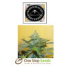 Yumbolt Feminized available from one stop seeds and accessories Glasgow Scotland