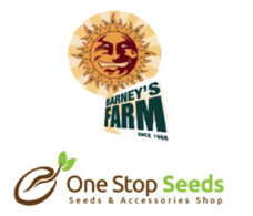 Barneys Farm Autos