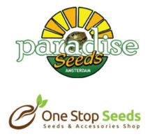 Paradise Autos