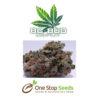 BC Bud Depot 707 Headband Seeds at one stop seeds and accessories Scotland Glasgow