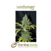 Seedsman Auto Sweet Tooth Feminised Seeds at one stop seeds and accessories Scotland Glasgow