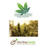 BC Bud Depot - Girl Scout Cookies at one stop seeds and accessories Scotland Glasgow