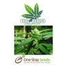 BC Bud Depot - Mighty Mite at one stop seeds and accessories Scotland Glasgow
