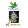 BC Bud Depot - Night Nurse at one stop seeds and accessories Scotland Glasgow