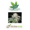 BC Bud Depot - SoCal Master Kush at one stop seeds and accessories Scotland Glasgow