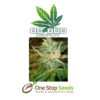 BC Bud Depot - Strawberry Cough at one stop seeds and accessories Scotland Glasgow